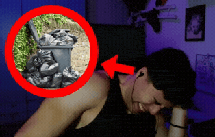 Trash Listening GIF