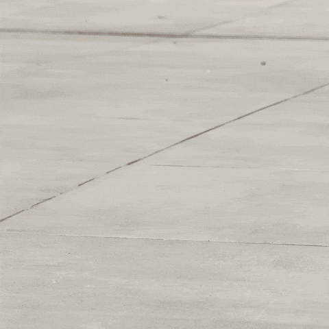 GIF by Marlù