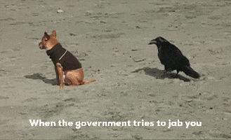 When The Government Tries To Jab You GIF