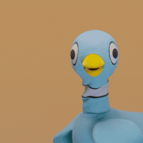 Pigeon Mowillems GIF by Mo Willems Workshop