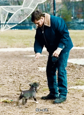 puppy