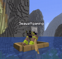 Mcsr GIF