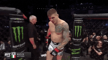 Marvin Vettori Sport GIF by UFC