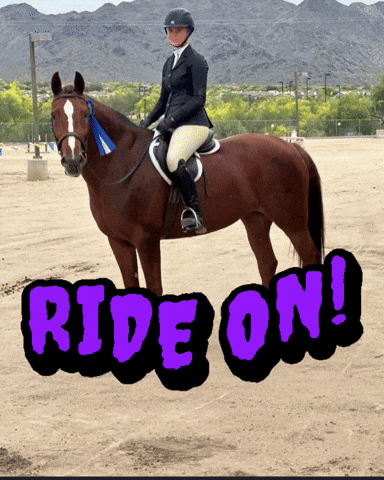 Dude Horses GIF