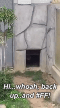 sivparker  GIF
