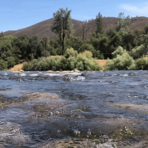 Water River GIF by Yevbel