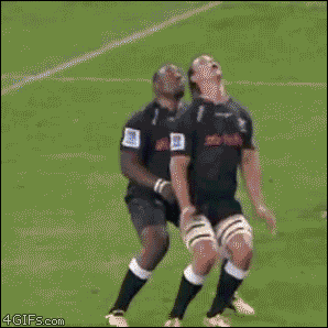 rugby GIF