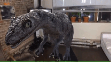 paulamonteiro-b9e0  GIF