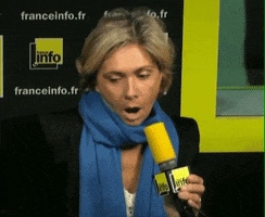 valerie pecresse wtf GIF by franceinfo