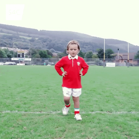 Rugby Wales GIF by Carw Piws