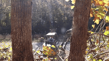 John Deere Fall Leaves GIF by JC Property Professionals