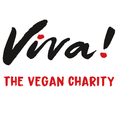 Viva Charity GIFs on GIPHY - Be Animated