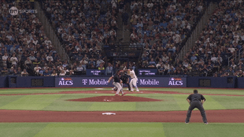 Home Run Sport GIF by MLB