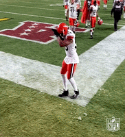 Happy National Football League GIF by NFL