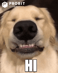 Morning-dog GIFs - Get the best GIF on GIPHY Morning-dog GIFs - Get the best GIF on GIPHY