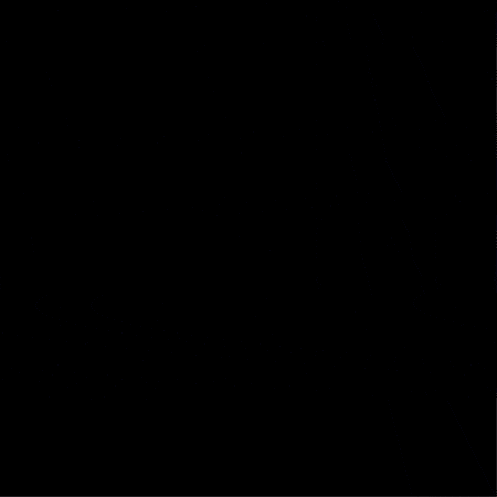 Rui GIF
