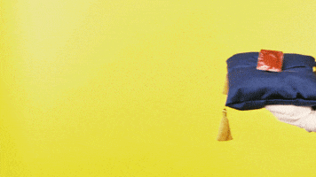 Stop Motion Protection GIF by Mighty Oak