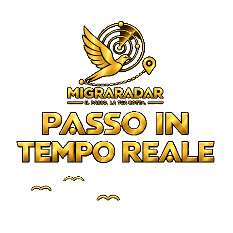 Migraradar Sticker