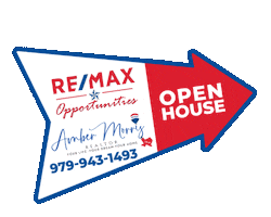 Amber Morris Realtor Sticker