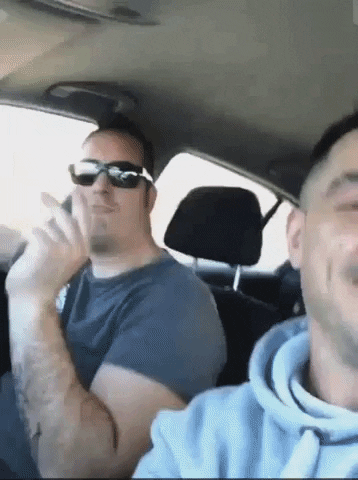 Partridge On Tour GIF