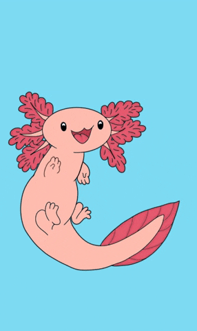 axolotl animated gif