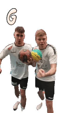 HSG Leimental Sticker