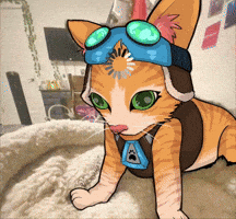 Overwatch GIF