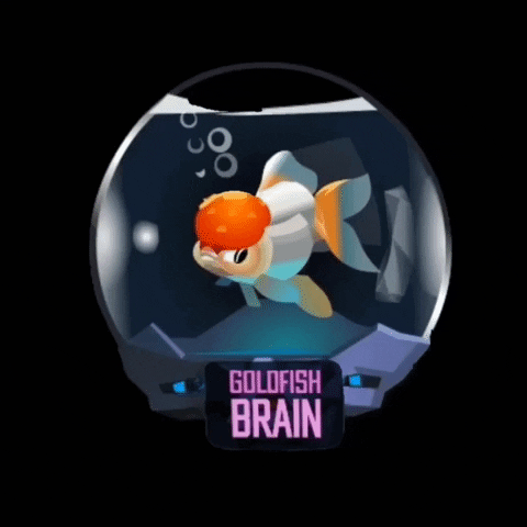 Nft Goldfish GIF by CyberBrokers