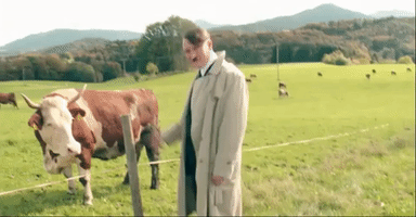 rockin_rols pain hitler electric fence look who's back GIF