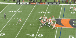 cincinnati bengals