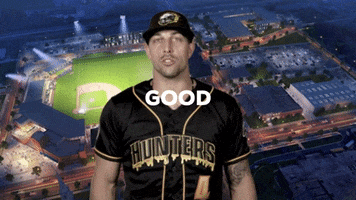 North Carolina Baseball GIF by gohoneyhunters