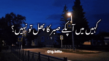 Urdu Meme GIF