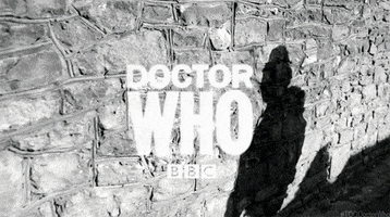 The Day Of The Doctor GIF by Temple Of Geek