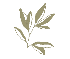 Green Leaf Leaves Sticker by Naturofeel