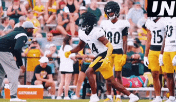 Nfl Steelers GIF by The Undroppables