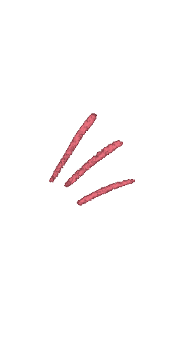 Pink Lights Sticker