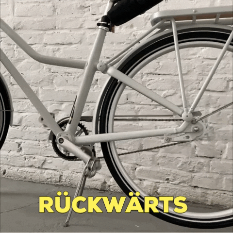 bycicle GIF