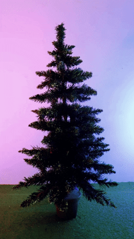Christmas Tree GIF by cintascotch