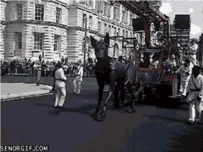 Dogs Peeing GIF by Cheezburger