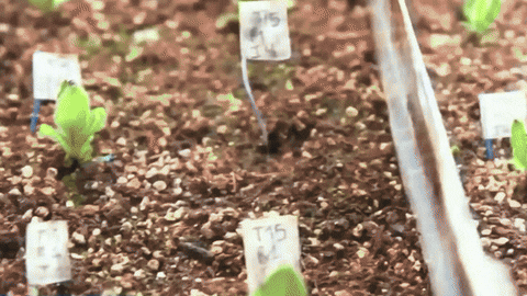 Animated GIF - Find & Share on GIPHY