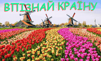 Країна GIF