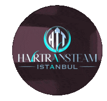 Hair Trans Team Sticker