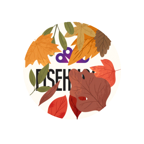 Fişekhane Sticker