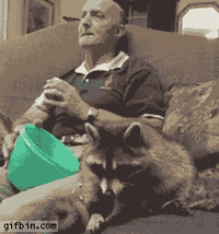200w.gif