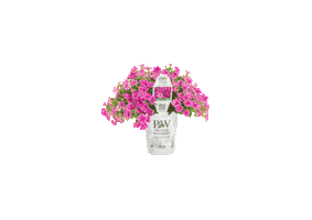 Flower Sticker by provenwinnerseu