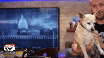 Dog Love GIF by The Young Turks