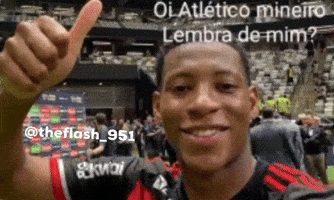 Theflash951 GIF