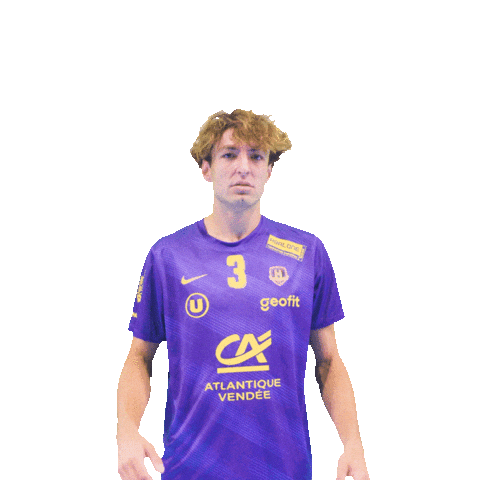 Handball H Sticker by HBCNantes