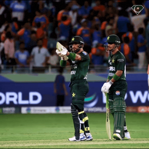 Pakistan Cricket Celebration GIF