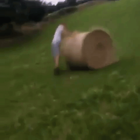 jessewilliamson-2e88  GIF